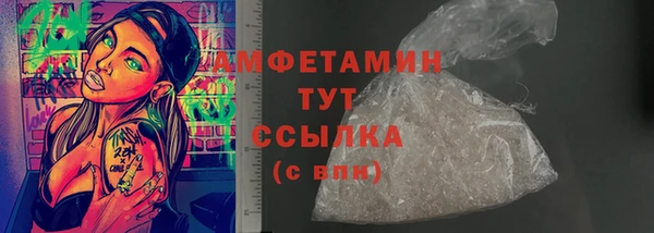 прущие грибы Сафоново