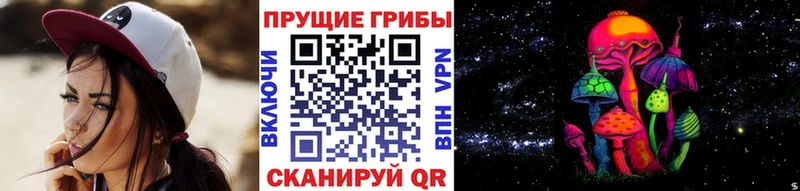 Галлюциногенные грибы мицелий  Купить закладки  Кириши 